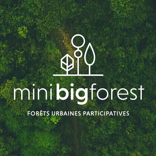 mini-big-forest