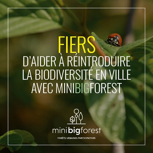 MiniBigPost-réseauxSociaux4