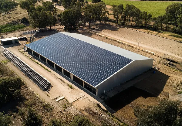 panneaux solaire ecole